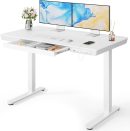Standing Desk with Drawer, 48 x 24 inch Whole Piece Tabletop Electric Standing Desk, Height Adjustable Desk with USB Charging Ports, Sit Stand Desk with Storage for Home & Office White
